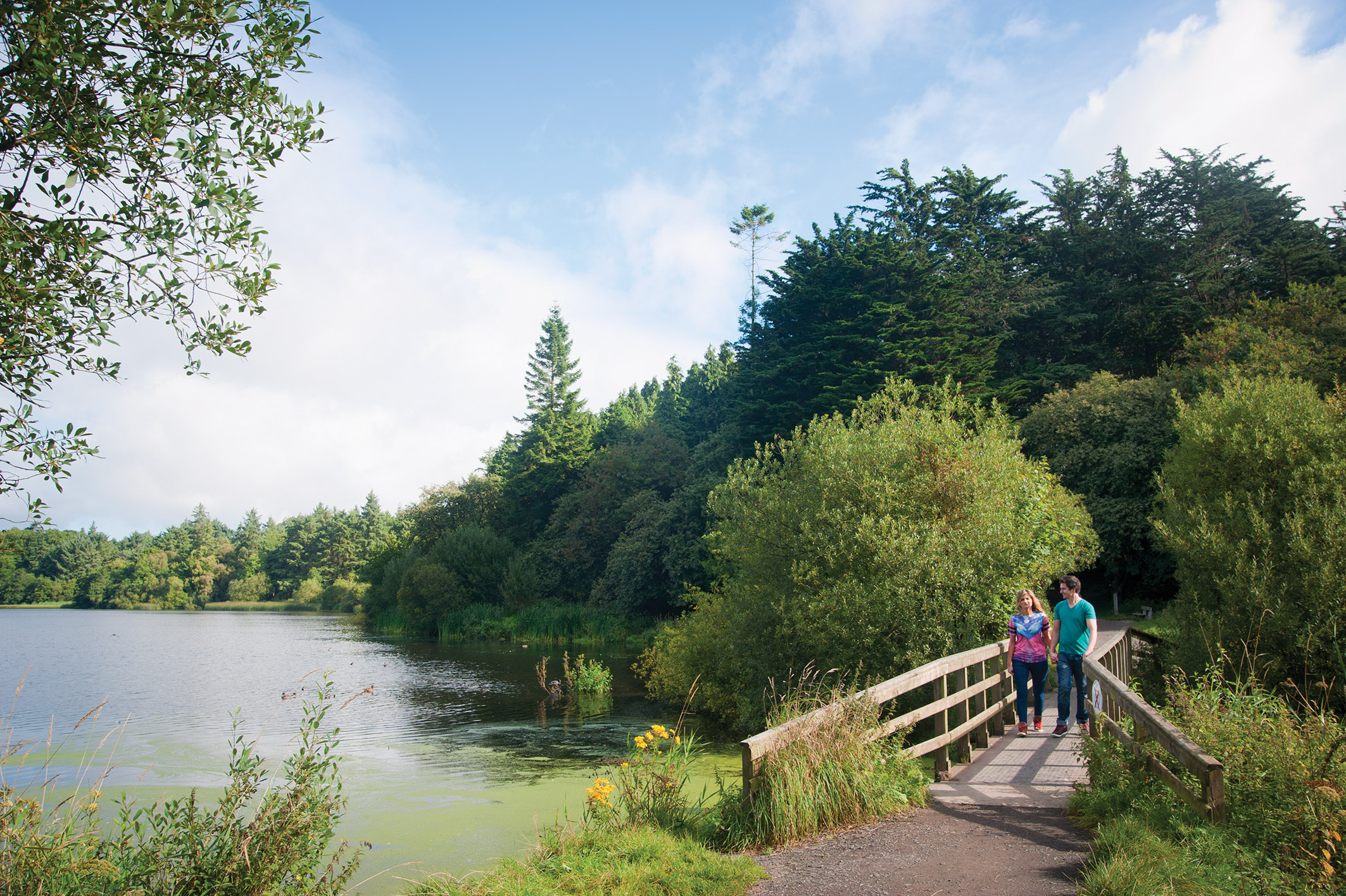 Man and woman walking on wooden bridge beside lake