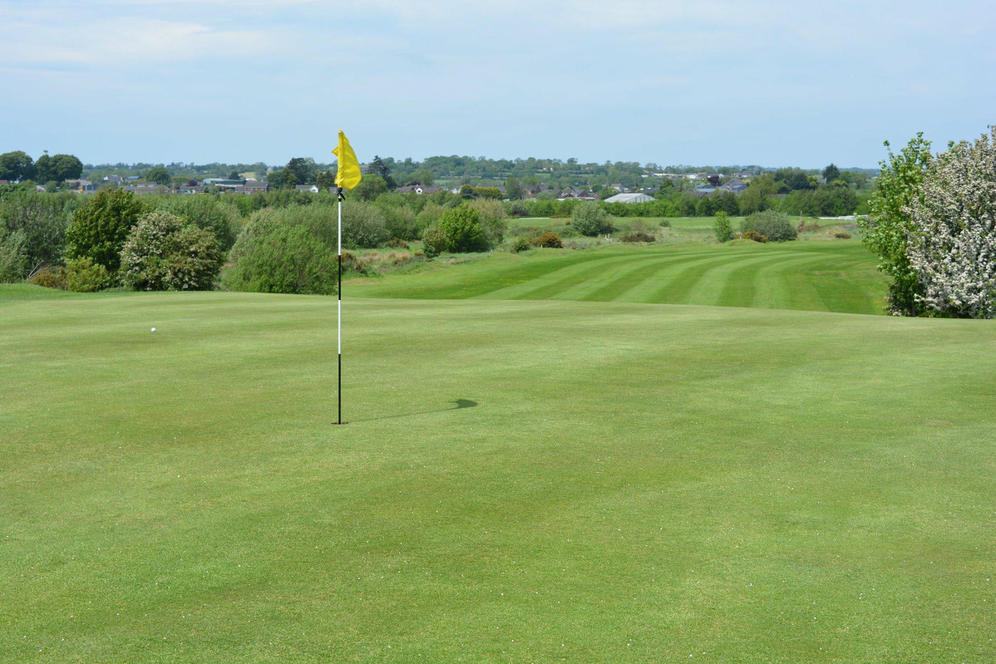 Golf green with flag